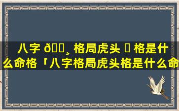 八字 🕸 格局虎头 ☘ 格是什么命格「八字格局虎头格是什么命格呢」